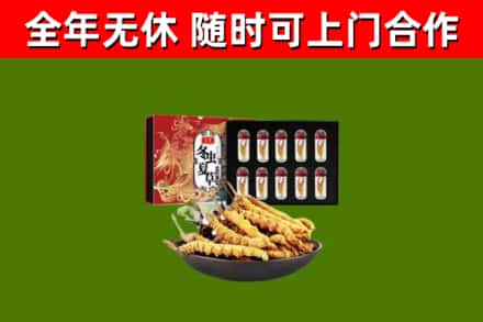余姚回收冬虫夏草价格