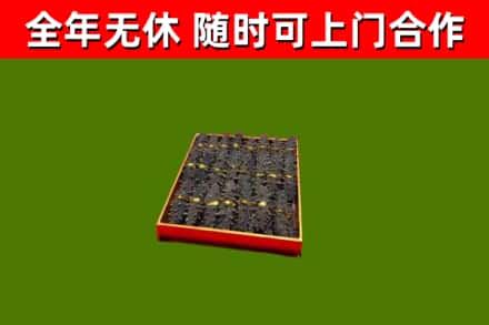 余姚回收海参